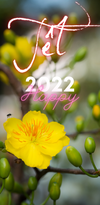 Quà Tặng Cuộc Sống